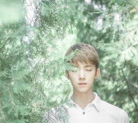 男网红多张照片,揭秘男网红的多面魅力