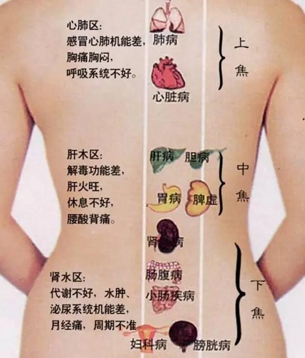 背部后八卦是哪里,神秘能量之源的生成奥秘