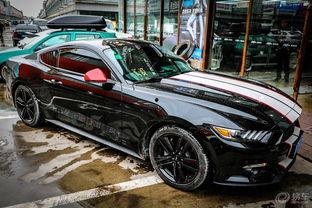 脱缰的野马图片,脱缰野马的自由驰骋瞬间